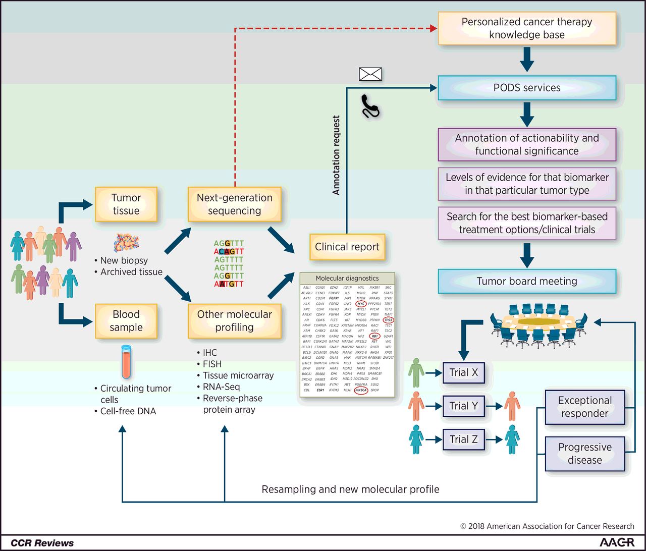 Precision medicine for cancer treatment: so close, yet so far - LLYC