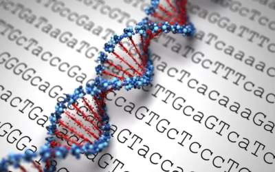 Genetic Testing Eliminates Anxiety About Common Hereditary Cancers