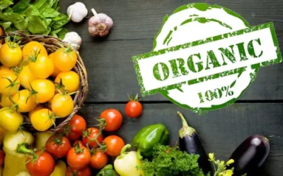 Does Organic Food Reduce Cancer Risk?