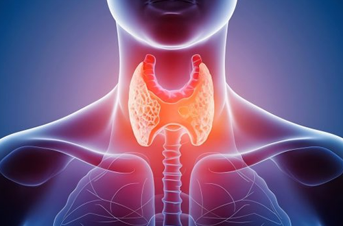 RABIT Surgery for Thyroid Cancer