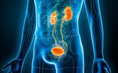 Early Signs of Bladder Cancer in Men and Women