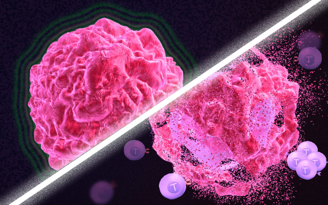 Can Cancer Be Completely Cured - MACS Clinic