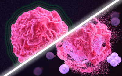 Can Cancer Be Completely Cured?