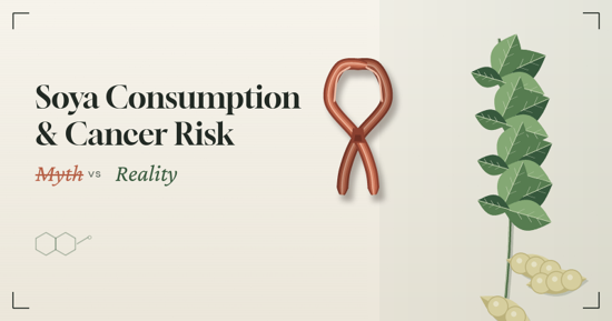 Banner for an article: 'Soya Consumption & Cancer Risk' with subtitle 'Myth vs Reality', featuring a red loop knot in the center and a soybean plant illustration on the right.