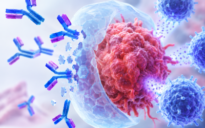 Can Blocking a Tumour’s Shield Improve Treatment?